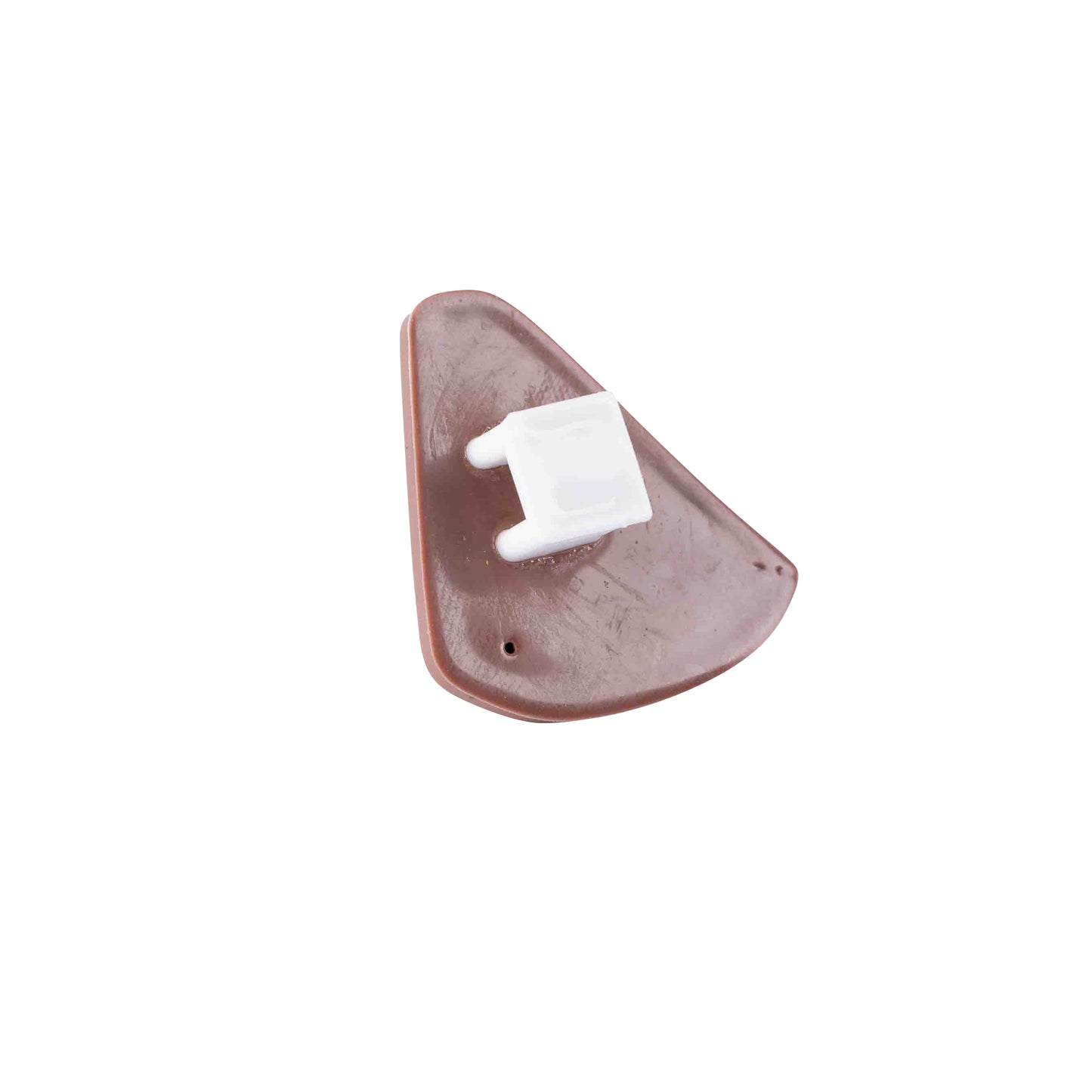 Cheese charm – Taco Cat Goat Cheese Pizza®